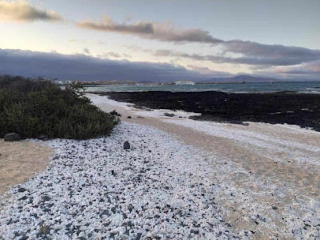 Apartmán Apartamento Verdemare Corralejo Exteriér fotografie