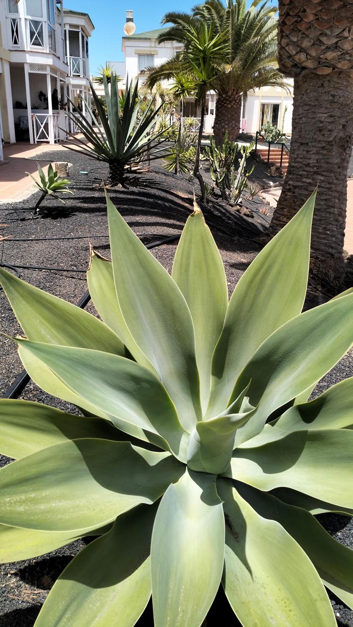 Apartmán Apartamento Verdemare Corralejo Pokoj fotografie